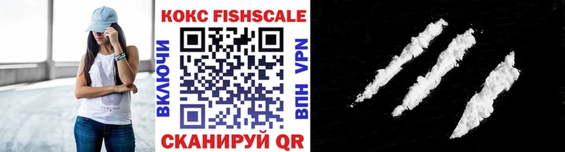 Купить закладки  Заинск  COCAIN 99% 
