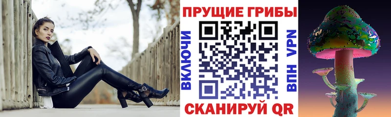 Купить где  Заинск  Галлюциногенные грибы Cubensis 