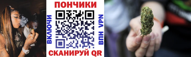 Купить  Заинск  Канабис план 